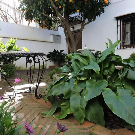 La Casa De Los Abuelos *